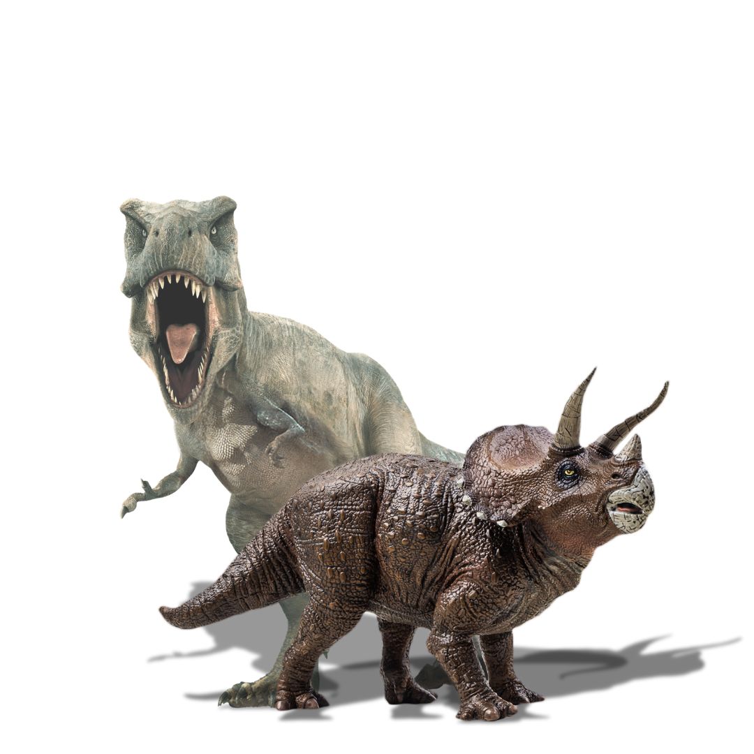 Dinosaure pour fan articles, jeux, jouets sous la thématique- JEUX-FOCUS