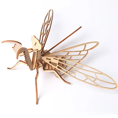 PUZZLE 3D EN BOIS | Montessori modèles de collection sur les insectes