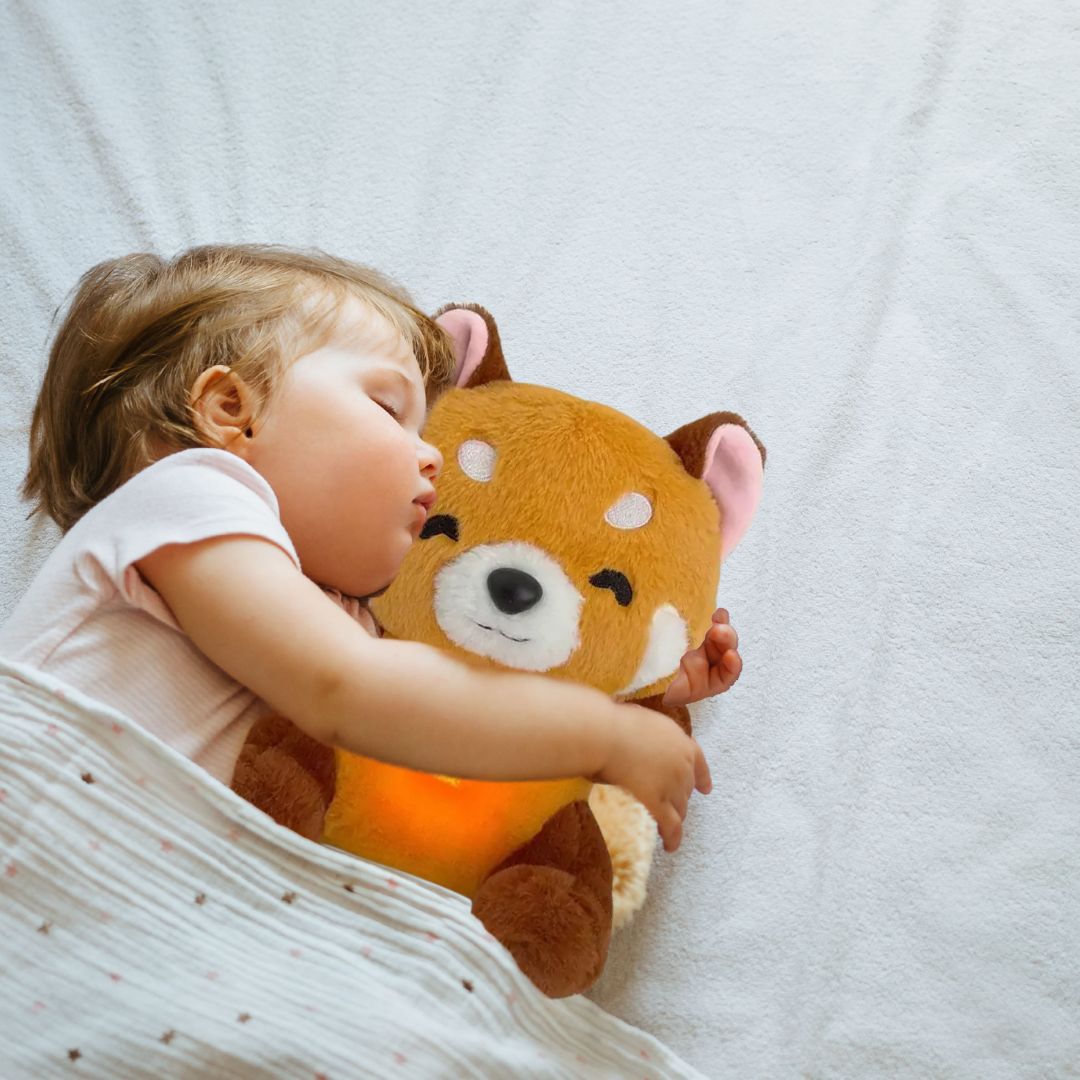 Doudou qui respire : Le Panda Roux qui calme l'anxiété et endort bébé🐼 - JEUX - FOCUS