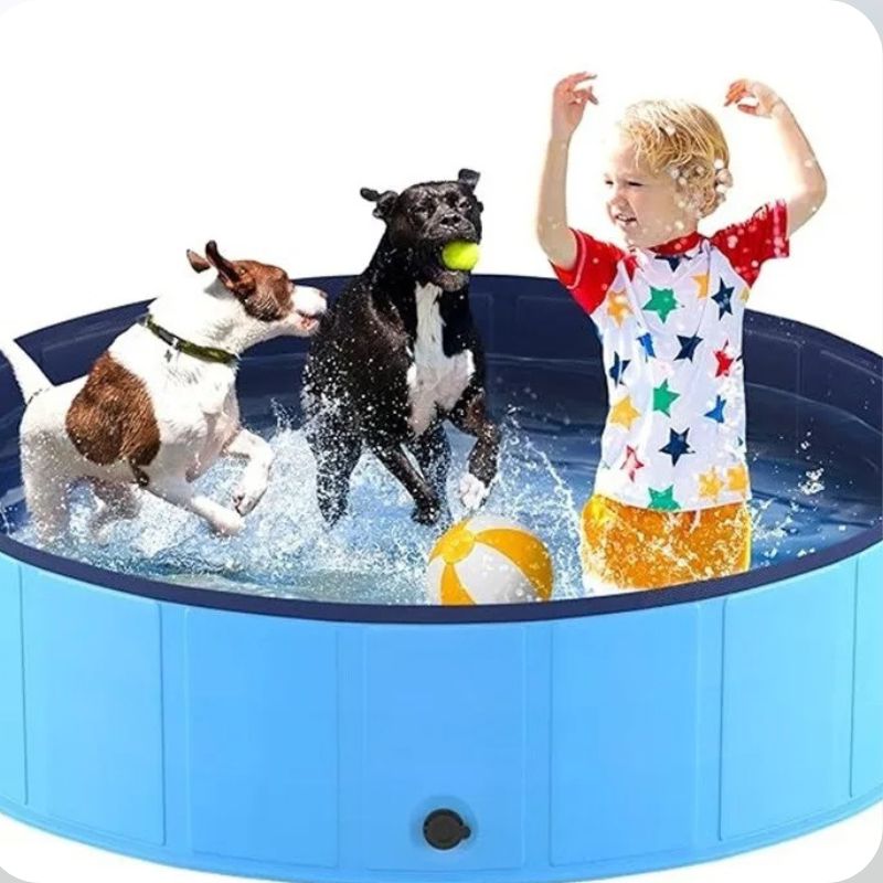 piscine-enfant-piscine-chien-baignade-rafraichissement
