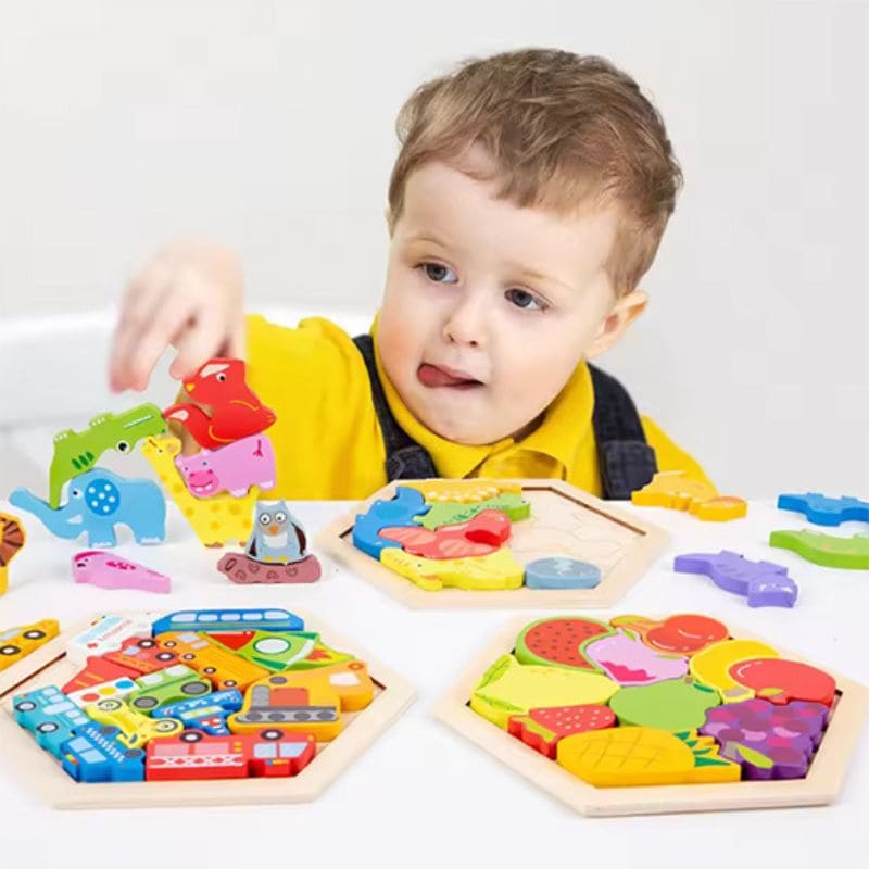 puzzle-en-bois-Montessori-pour-enfant-5-ans-et-plus-plusieurs-facon-de-jouer