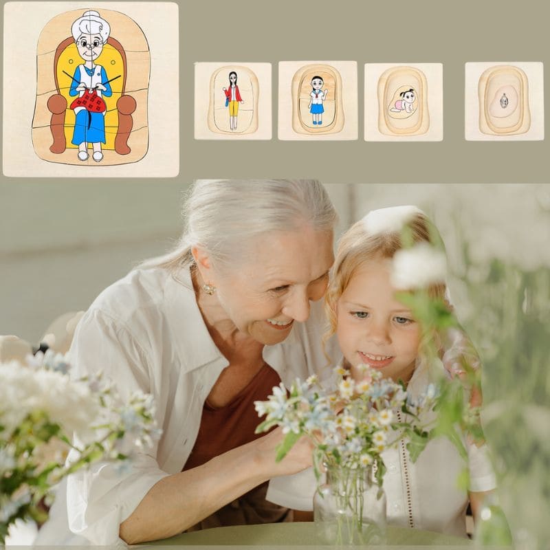 une grand-mĂšre et sa petite fille apprennent le cycle de vie avec un beau puzzle en bois 3d