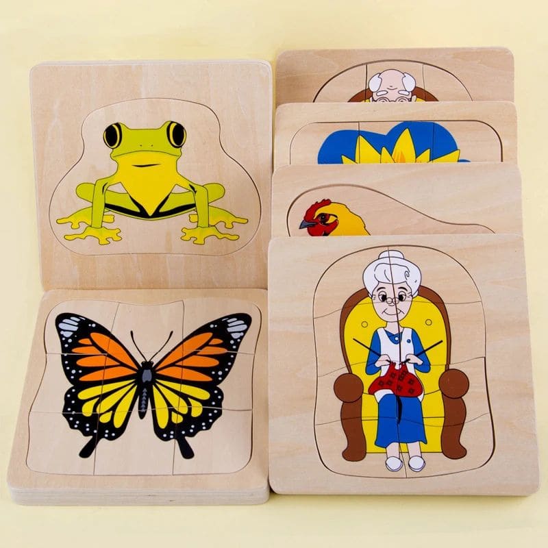 la collection des 6 puzzle en bois 3D sur le cycle de vie