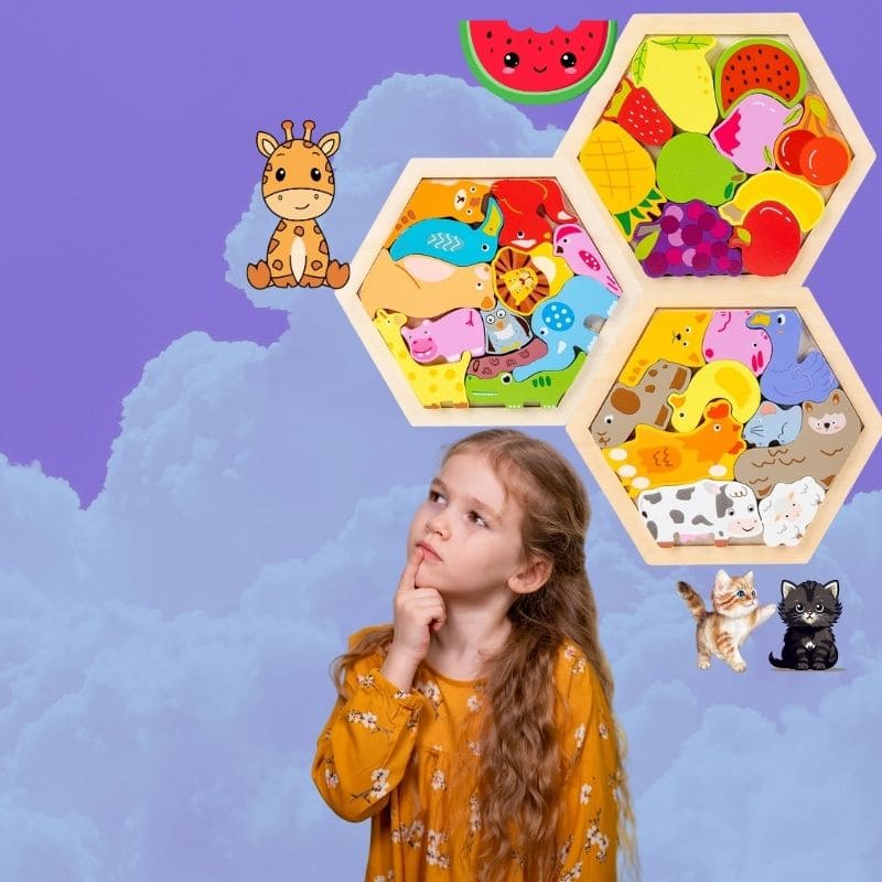 puzzle-en-bois-pack-de-6-puzzles-hexagonal