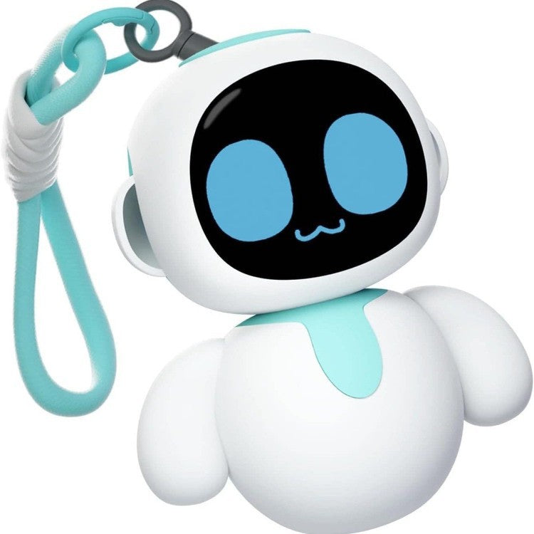 Companion Robot