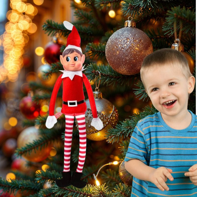 Lutin Farceur Taquin & Taquine | Tradition Enchantée🎄