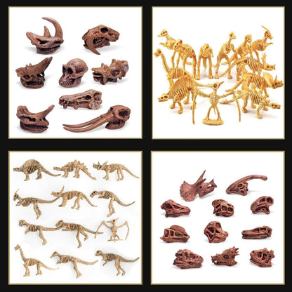 Dinosaure-jouet-SQUELETTE-CRÂNE