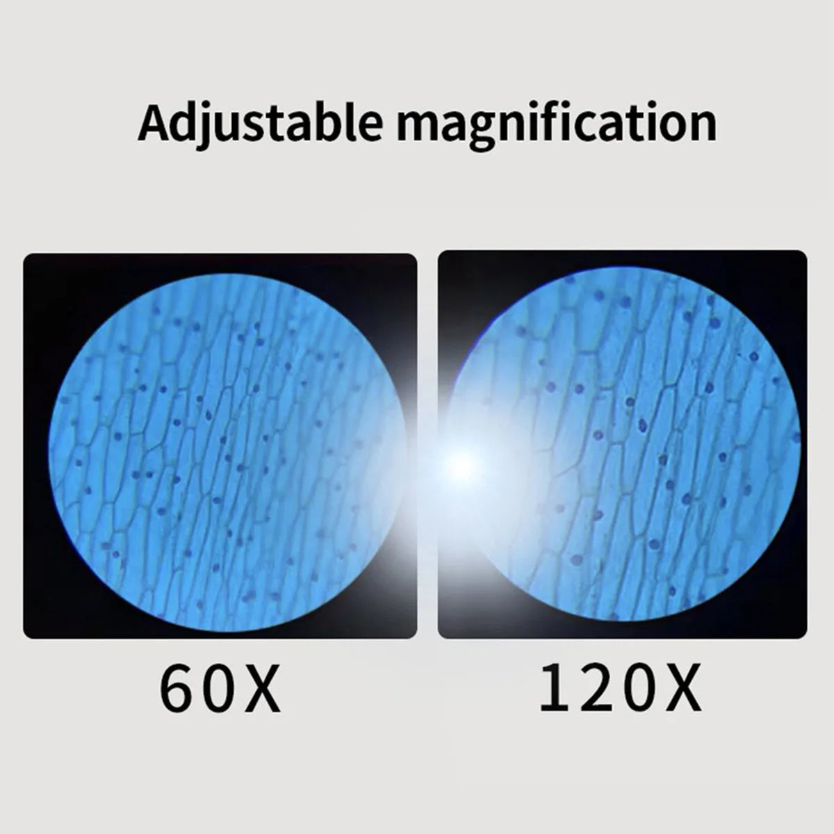 microscope enfant portable | Explorateur 60-120x-Pocket Zoom™