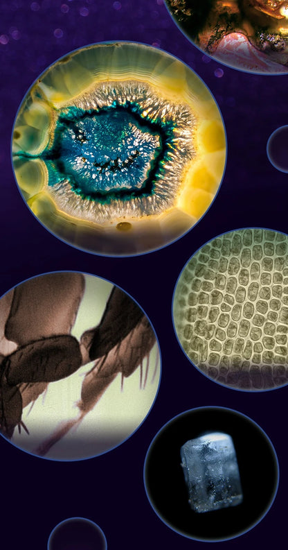 microscope enfant portable | Explorateur 60-120x-Pocket Zoom™
