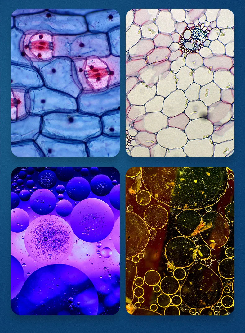 microscope enfant portable | Explorateur 60-120x-Pocket Zoom™