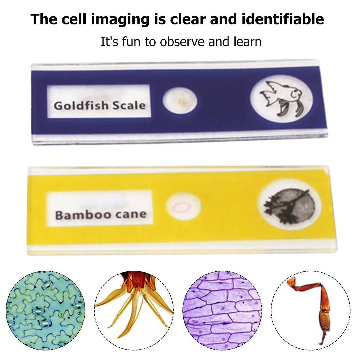 microscope enfant portable | Explorateur 60-120x-Pocket Zoom™