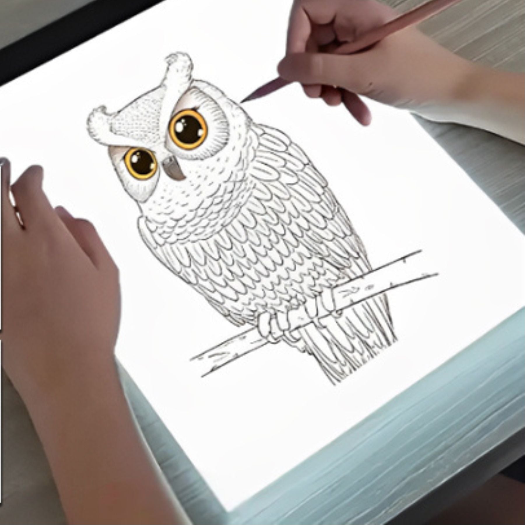 Tablette lumineuse a dessin Professionnel ou enfant un essentiel pour les travaux scolaire et pour les arts