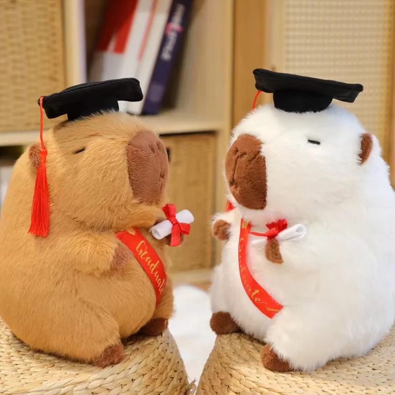 Ours en peluche rt Cabybara moelleux pour  la réussite scolaire de votre enfant diplomation