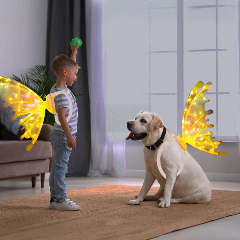 déguisement carnaval pour garçon et son gros chien qui portent des ailes articulée robotisée musique et lumiere
