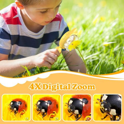 digital zoom 1x, 2x,3 x 4x