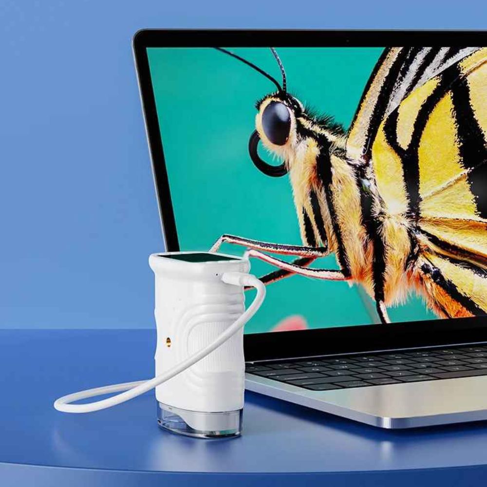micoscope portable enfant fil usb chargement et transfert d image sur pc, mac etc
