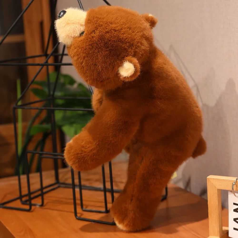 ours en peluche aux bras longs 