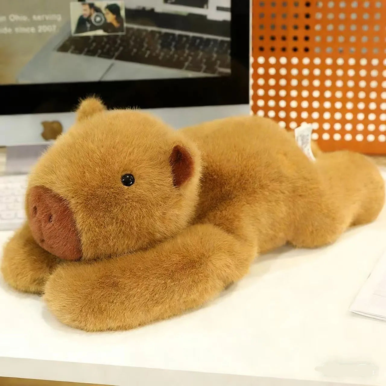 peluche anti stress capybara