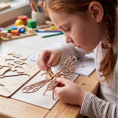 PUZZLE 3D EN BOIS | Montessori modèles de collection sur les insectes
