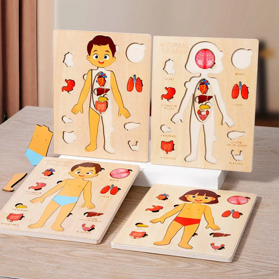 puzzle corps humain version fille ou garcon permet à l'enfant de comprendre comme il est bâti