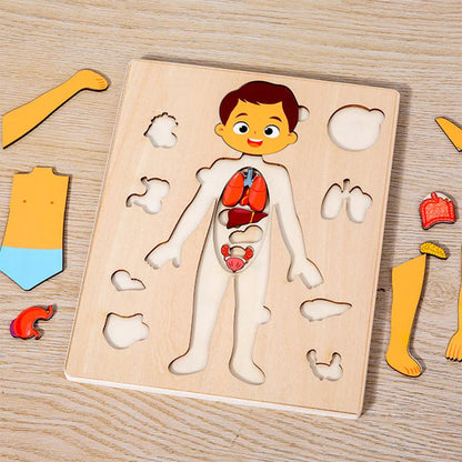  puzzle corps humain puzzle en bois enfant jeu Montessori
