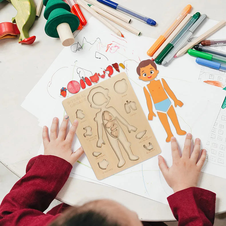 puzzle corps humain  en bois enfant jeu apprendre le corps humain