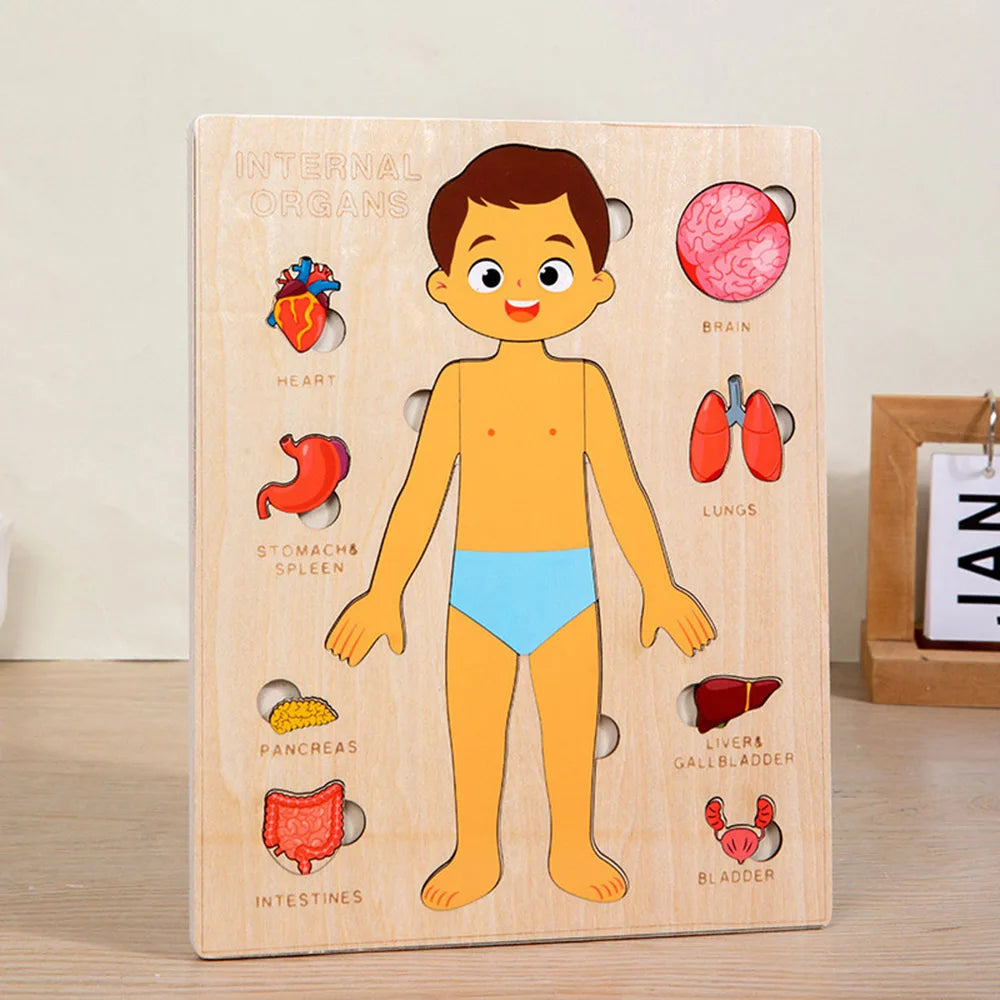 puzzle corps humain pour apprendre aux enfants ce que fait chaque organe  et invite au dialogue sur la santé