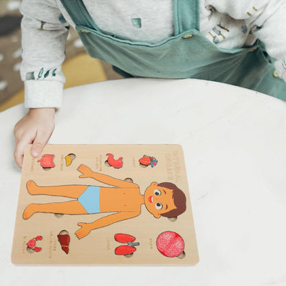 puzzle corps humain modèle garçon activité scientifique exploration de l'intérieur de son corps