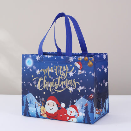 Christmas Gift Bag