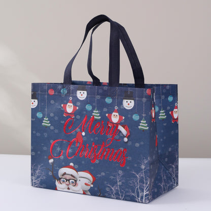 Christmas Gift Bag