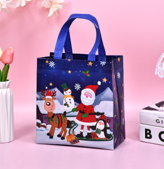 Christmas Gift Bag