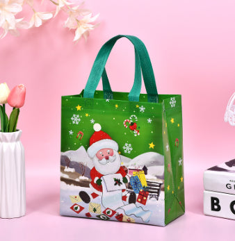 Christmas Gift Bag