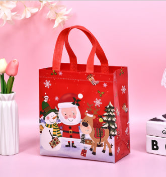 Christmas Gift Bag