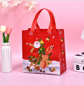 Christmas Gift Bag