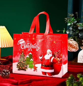 Christmas Gift Bag