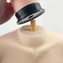 support de tete a coiffer base avec haut du buste