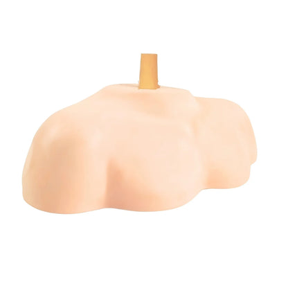 support de tete de mannequin